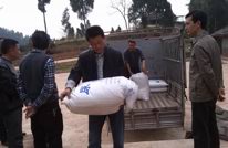 县蚕业管理站走访白兔乡养蚕户