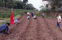 活跃在田间地头的天星镇农村助耕队