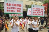 静边镇开展农村小额保险宣传活动