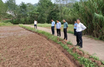 大义乡召开油菜种植流动现场会