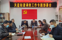 天星街道召开调查工作专题部署会