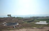 有搞头！大家干！