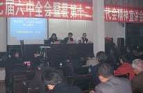 县委宣讲团来岩峰宣讲十七届六中全会暨渠县第十二次党代会精神