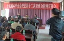 十七届六中全会暨县第十二次党代会精神宣讲会在清溪场镇成功召开