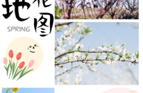 创建天府旅游名县|春色满园关不住！花海walk，换种方式爱上渠县