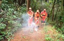 渠县：人防+物防+技防+群防 筑牢森林防火墙