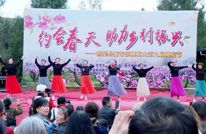  春风至 桃花开 八方宾客共赏千亩桃花