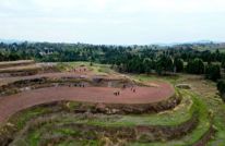 渠县：撂荒地里种玉豆 村民村集体双受益