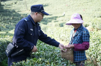  春茶飘香，渠县“茶警”护航