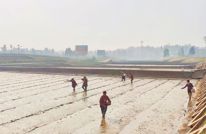 护航发展｜渠县：贴身监督 做好春耕生产“服务员”