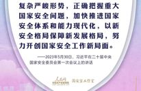 AI手绘丨学习习近平总书记强调的“总体国家安全观”