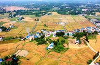 【以新质生产力支撑高质量发展】渠县：农机合作社助战6.6万亩小麦丰收