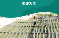 头顶上的小生意 50万斤麦秆儿变废为宝