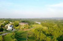 渠县：小黄花 大产业