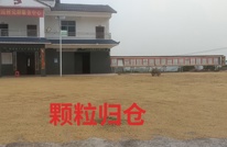 晚秋生产增经济  农技护航保丰收