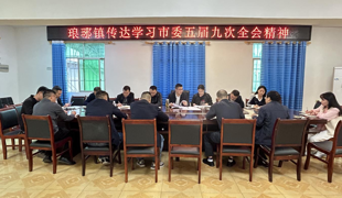 琅琊镇传达学习市委五届九次全会精神