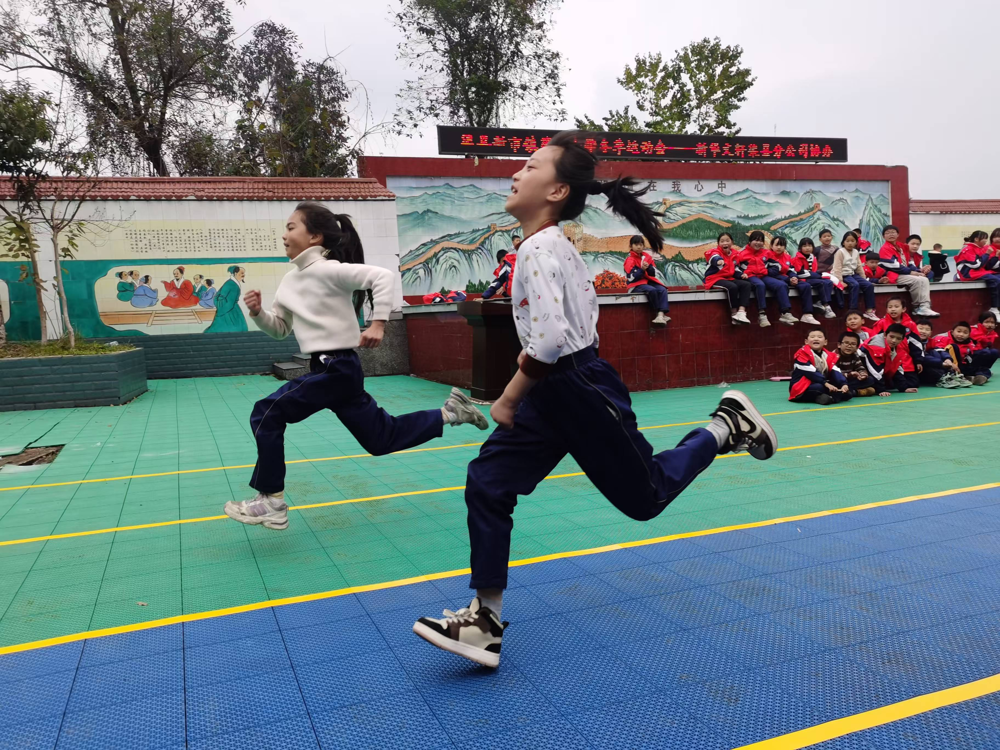 图片1