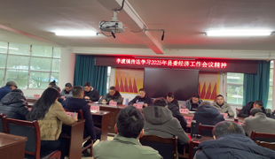 渠县李渡镇传达学习县委经济工作会议精神