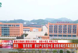渠县：“智改数转”推动产业转型升级 助推县域经济高质量发展