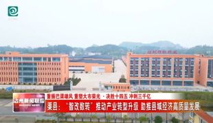 渠县：“智改数转”推动产业转型升级 助推县域经济高质量发展