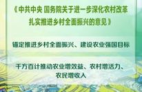 划重点！中央一号文件释放了哪些新信号？