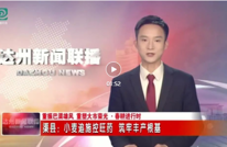 渠县：小麦追施控旺药 筑牢丰产根基