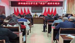 岩峰镇传达学习县两会会精神