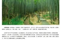 央视网关注｜四川达州新竹种植正当时 深挖竹资源激活“竹经济”