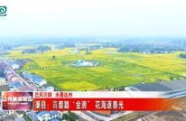 渠县：賨都踏“金浪” 花海逐春光