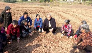 丰乐镇：助力春耕 农技服务到田间