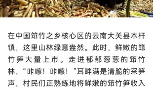 央视网关注渠县｜不负春时 乡村特色产业“百花齐放”