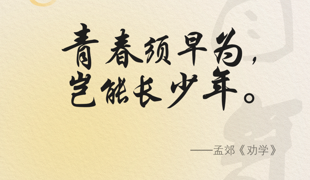 致青年