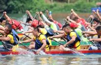 龙舟赛期间，免费停车位2000+
