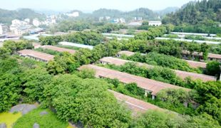 下沉服务解难题 助力畜牧产业健康发展