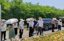 市政协调研渠县卷硐矿山生态修复工作