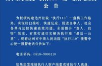 全市法院“执行110”报警，请认准一个号码！
