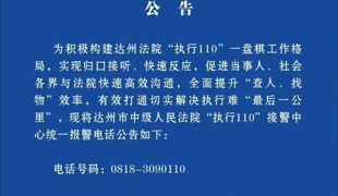 全市法院“执行110”报警，请认准一个号码！