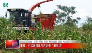 渠县：小秸秆织就乡村治理“同心结”