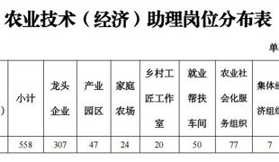 558名！达州面向社会公开招聘→