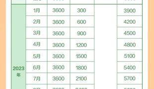 国家育儿补贴方案公布！