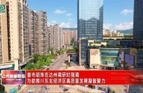 普布顿珠在达州调研时强调 为助推川东北经济区高质量发展凝智聚力