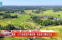 渠县62万亩稻田开镰！机械化收割确保颗粒归仓
