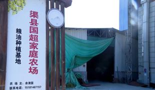 琅琊镇：加快烘干房建设助力农业增效农民增收