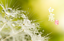 恰是白露时，风起更相思