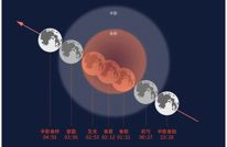 今晚，记得抬头看！（附最佳观赏时间表）