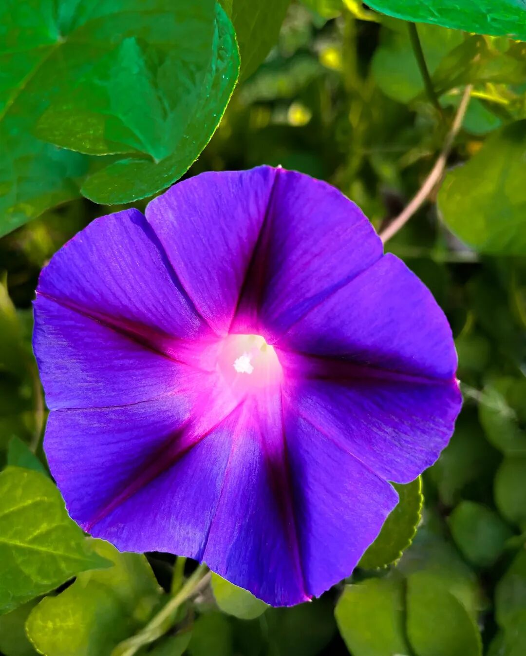 VCG211351008211.jpg