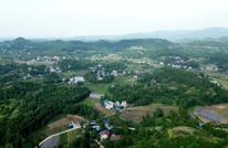 渠县：小庭院“茧”出新“丝路”