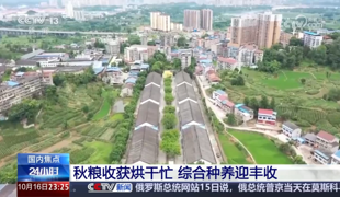 央媒省媒关注渠县 | 让“智慧粮仓”护航粮食安全