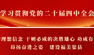 冬日来信｜在渠县秀岭春天，赴一场红叶与茶山的温柔邂逅