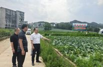 驻村帮扶结硕果 产业振兴焕新颜——渠县纪委监委推动翰林村产业振兴纪实